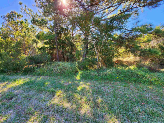 0 ROCKY ROLLINSON ROAD # LOT 0, BUXTON, NC 27920, photo 3 of 8