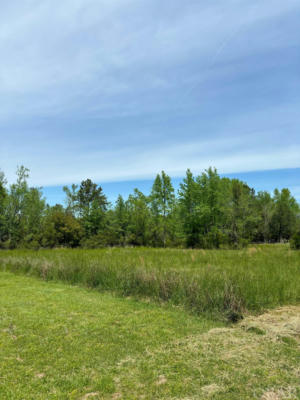 258 COUNTRY ESTS LOT 23, COLUMBIA, NC 27925, photo 3 of 7