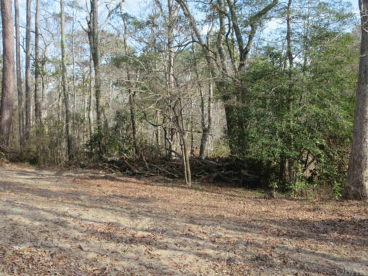 207 COLONIAL BEACH RD LOT 1, JARVISBURG, NC 27947, photo 4 of 16